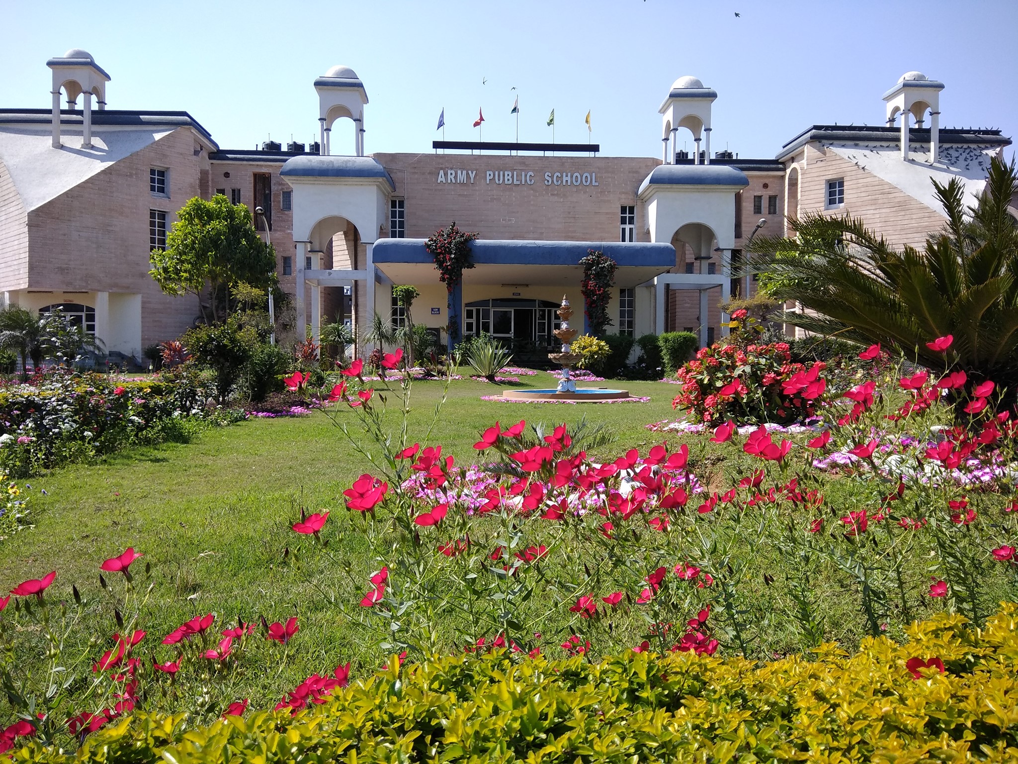 Army Public School