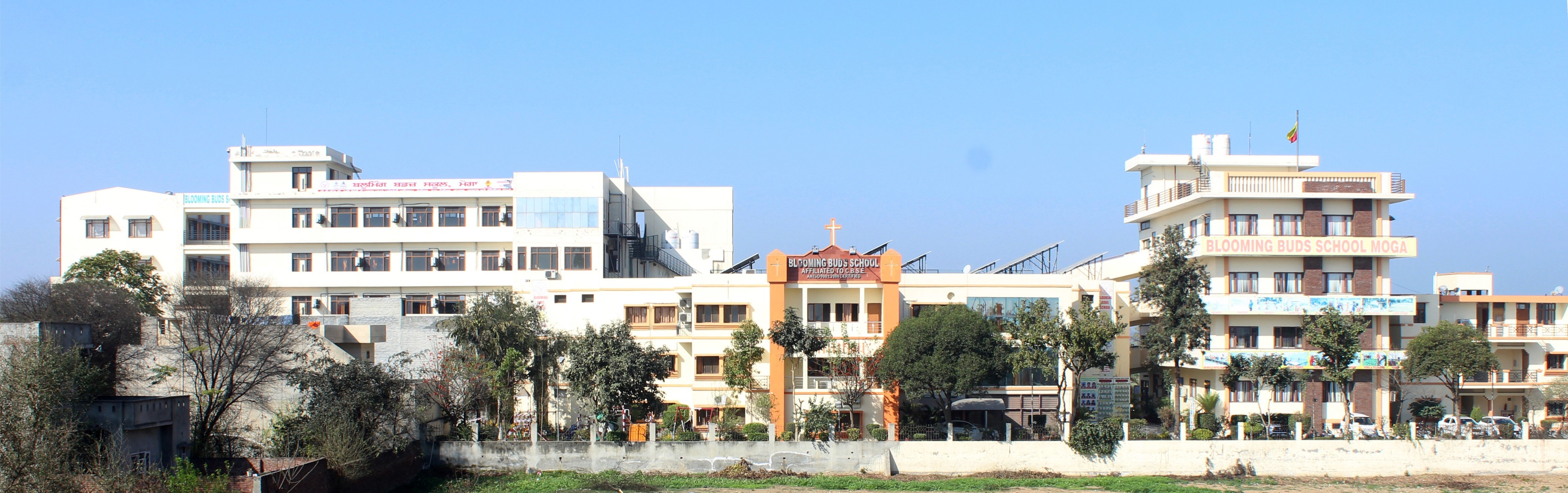 Blooming Buds School