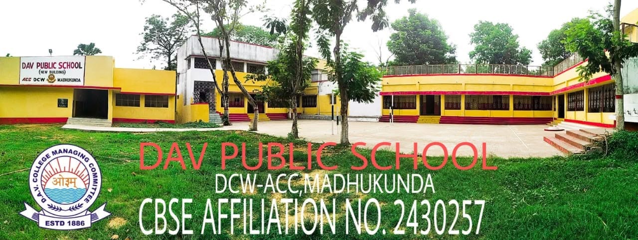 DAV Public School, Madhukunda