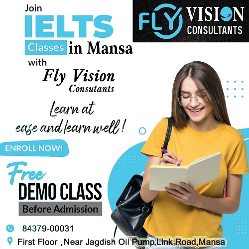 Fly Vision Consultants