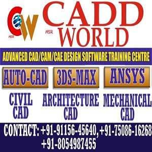 MSR CADD WORLD
