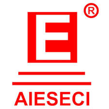 AIESECI Institute logo