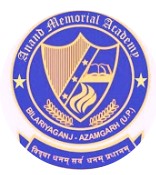 Anand Memorial Academy logo