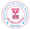 Angles Public International School logo