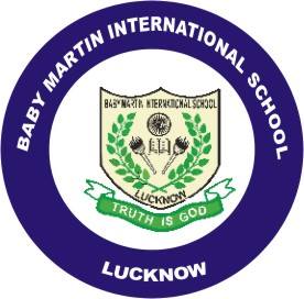 Baby Martin International School logo