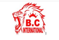 BC International School logo
