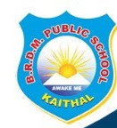 Brdm Public School logo