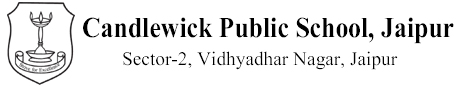 Candle Wick Public School logo