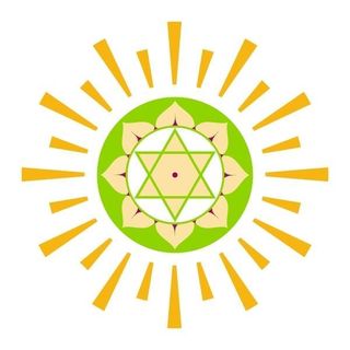 Chettinad Vidya Mandir logo