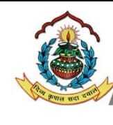 D V M Public School logo