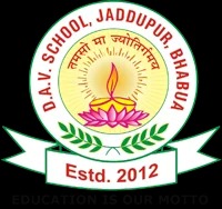 DAV School logo