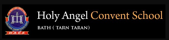 Holy Angel Convent School logo