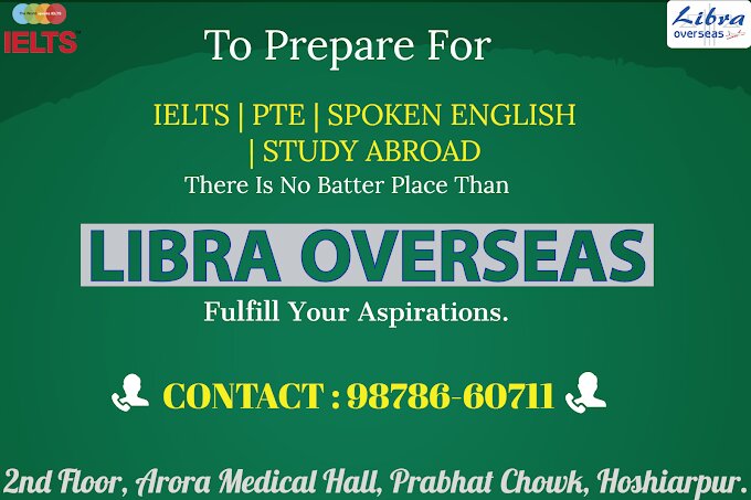 Libra Overseas logo