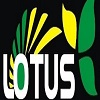 Lotus beauty salon & academy logo