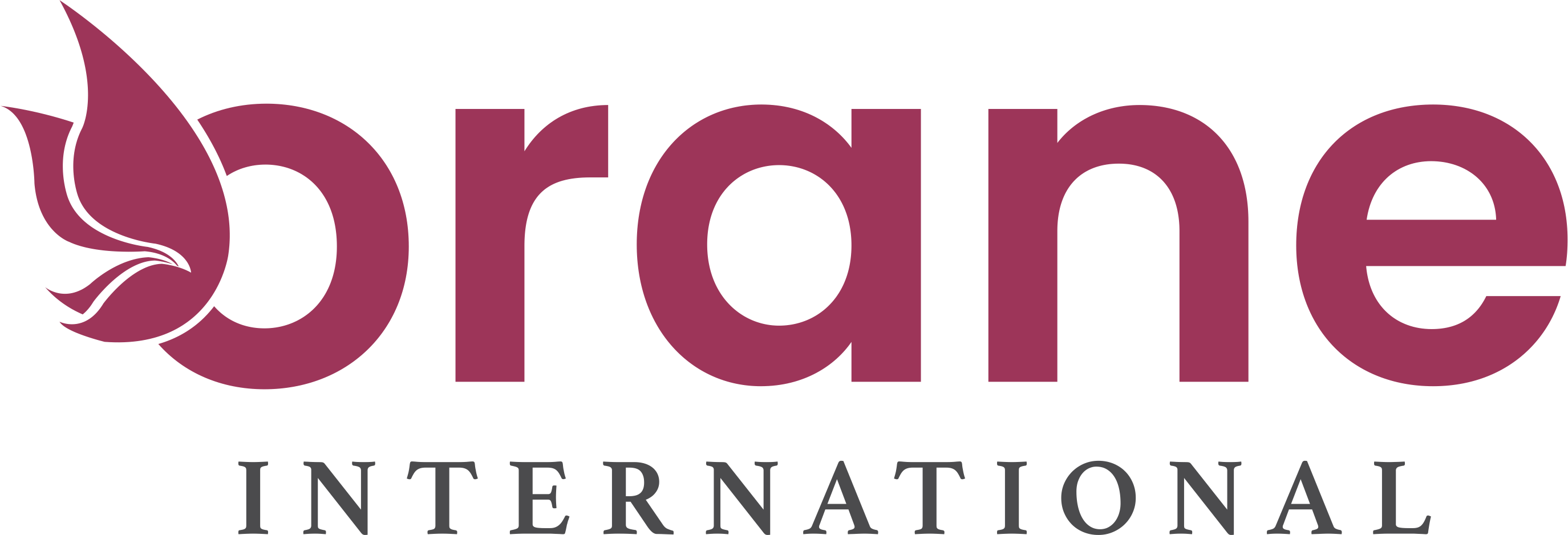 Orane International School of Beauty & Wellness Khanna logo