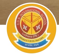 S.G.N. International School logo