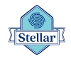 Stellarworld International School - Goregaon logo