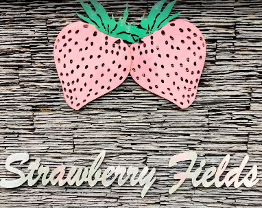 Strawberry Fields Play Way School logo